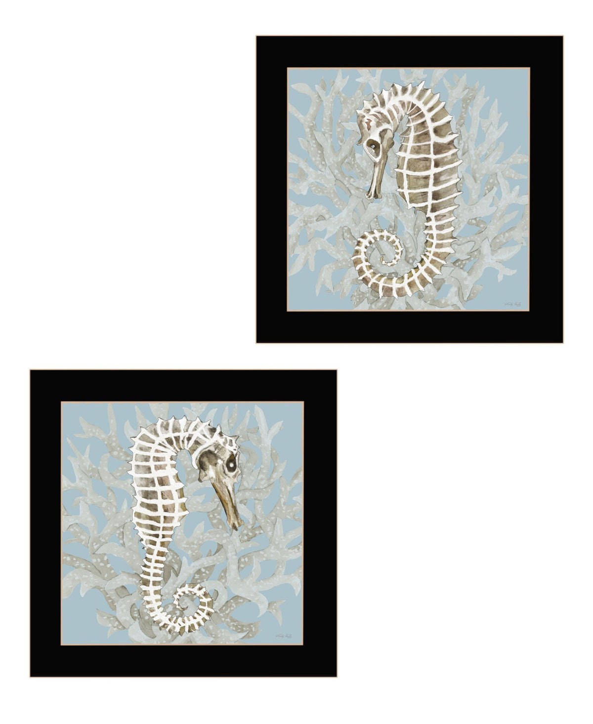 Set Of Two Coral Seahorse Black Framed Print Wall Art LuxuryLifeWay Online Store