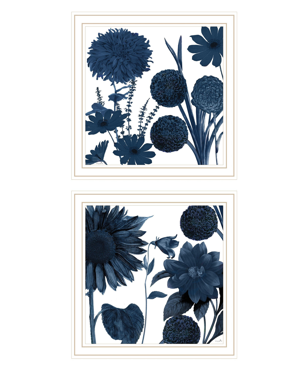 Set Of Two Sunflower Blues 2 White Framed Print Wall Art LuxuryLifeWay Online Store