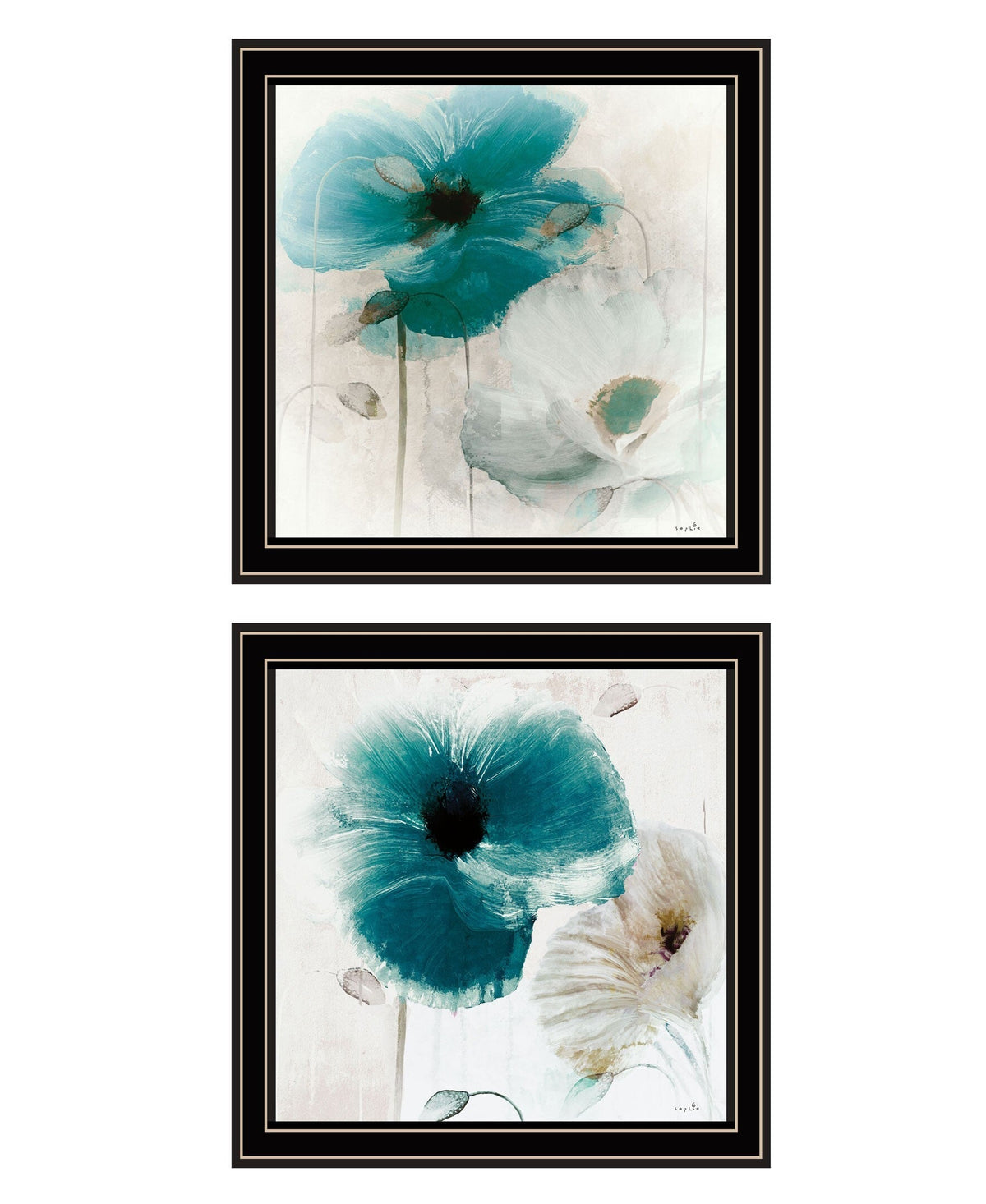 Set Of Two Poppy 1 Black Framed Print Wall Art LuxuryLifeWay Online Store