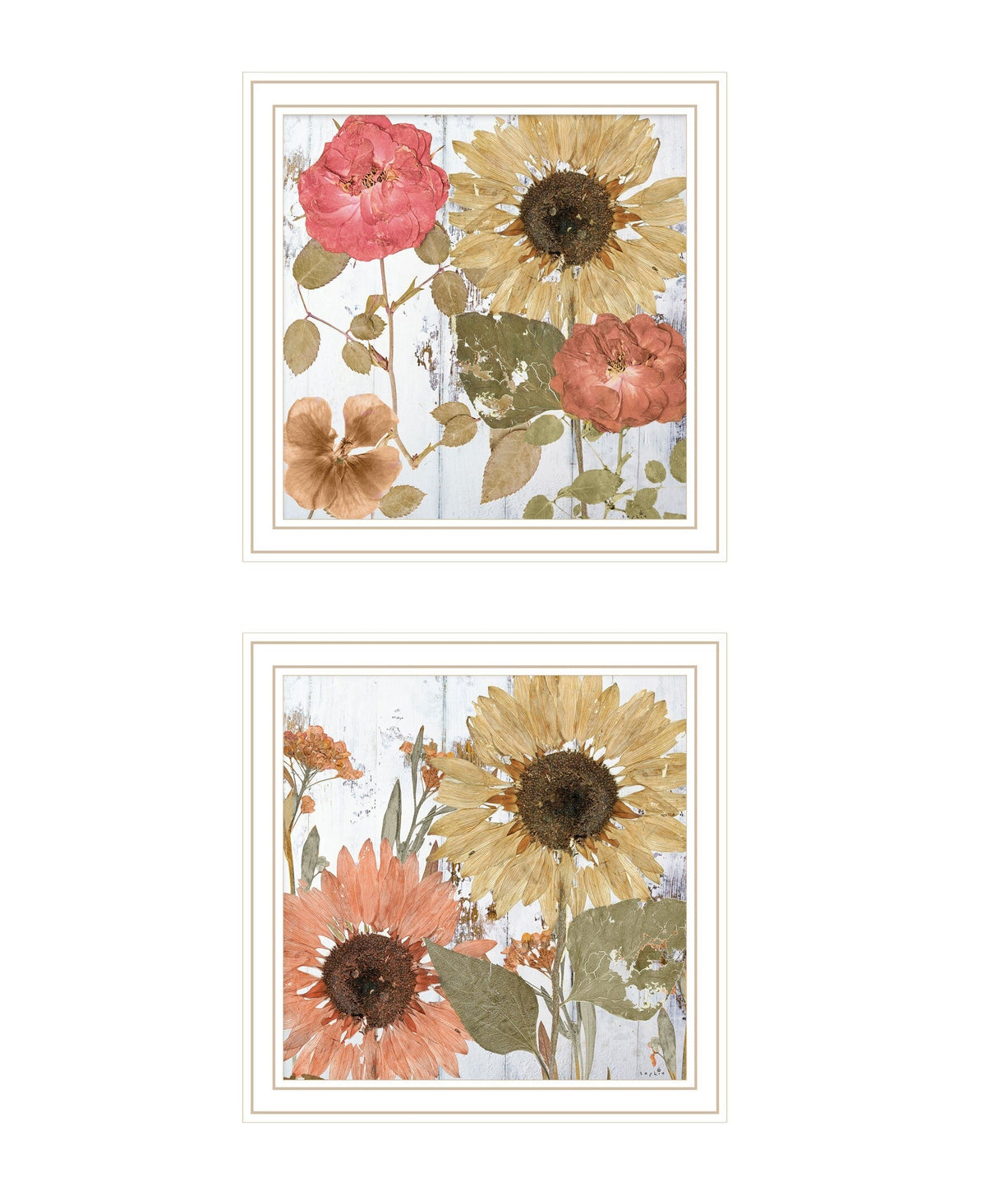 Set Of Two Earth to Petals 2 White Framed Print Wall Art LuxuryLifeWay Online Store