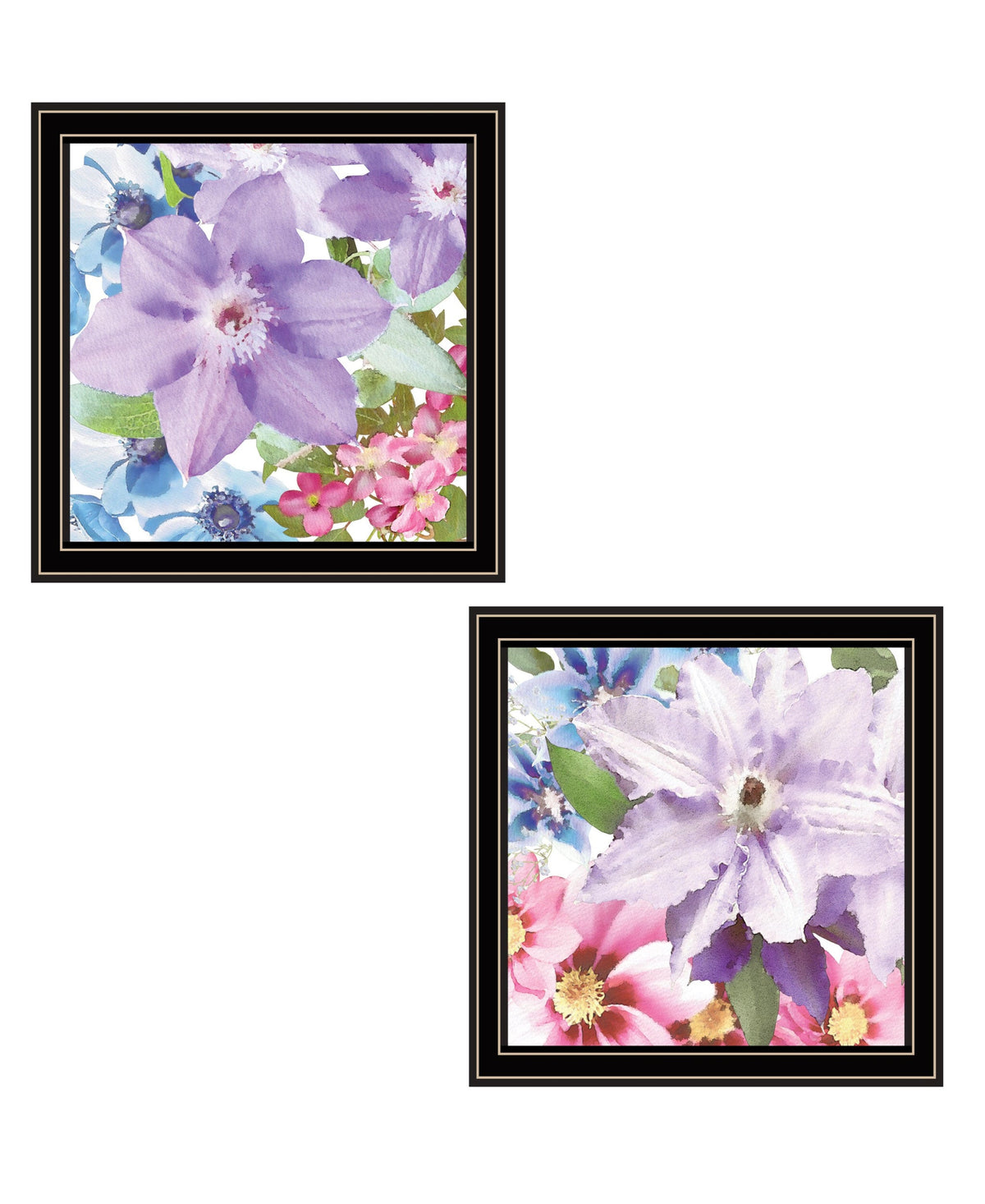 Set Of Two Clematis Black Framed Print Wall Art LuxuryLifeWay Online Store