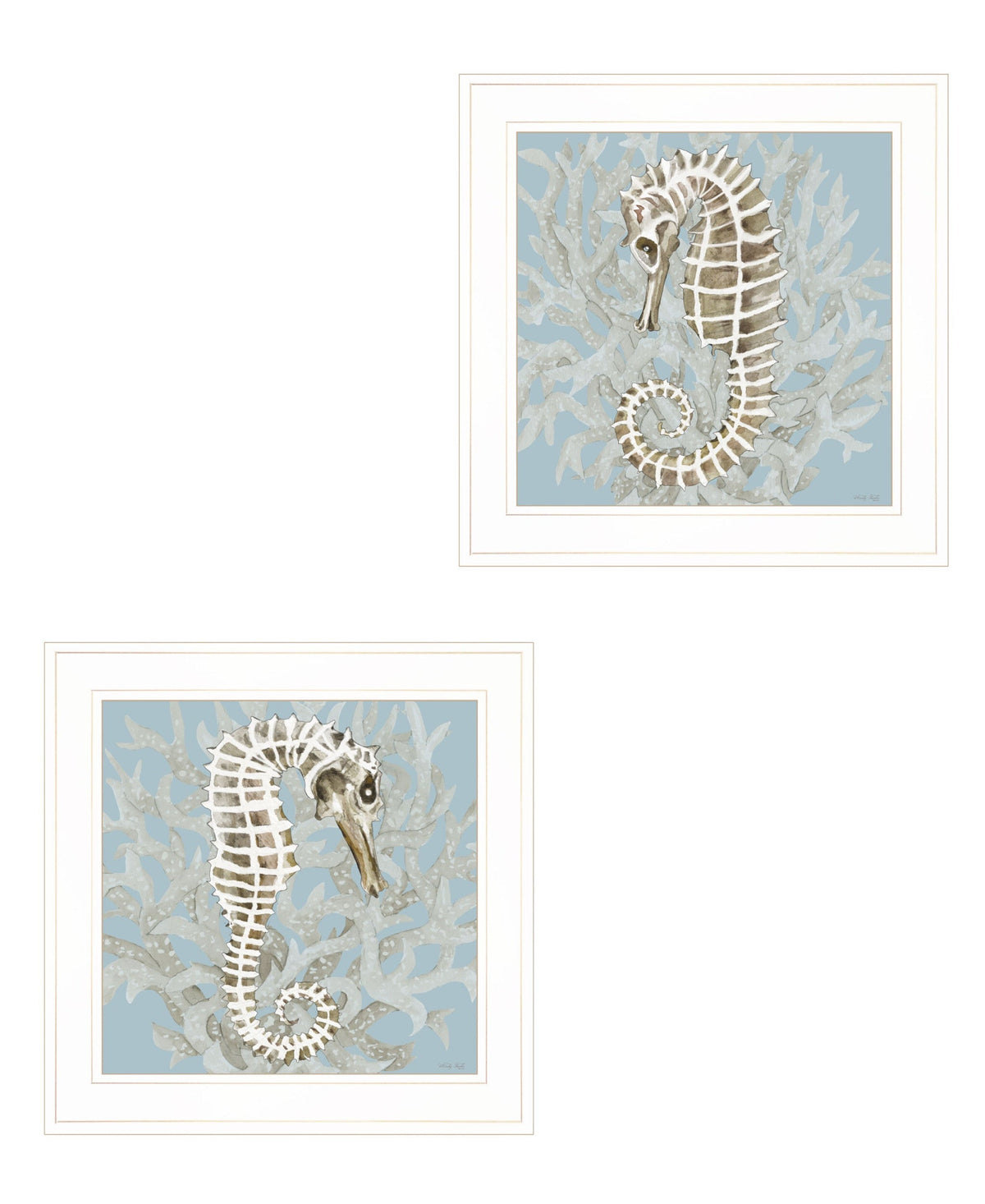 Set Of Two Coral Seahorse White Framed Print Wall Art LuxuryLifeWay Online Store
