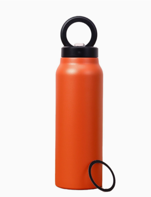 Magnetic Water Bottle LadyShow.Store