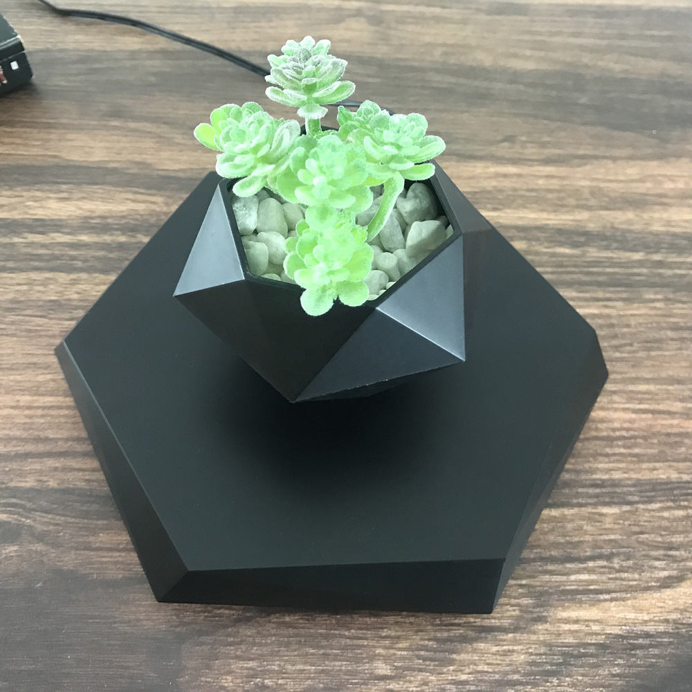 Levitating Magnetic Flower Pot PearlNestDecor.com