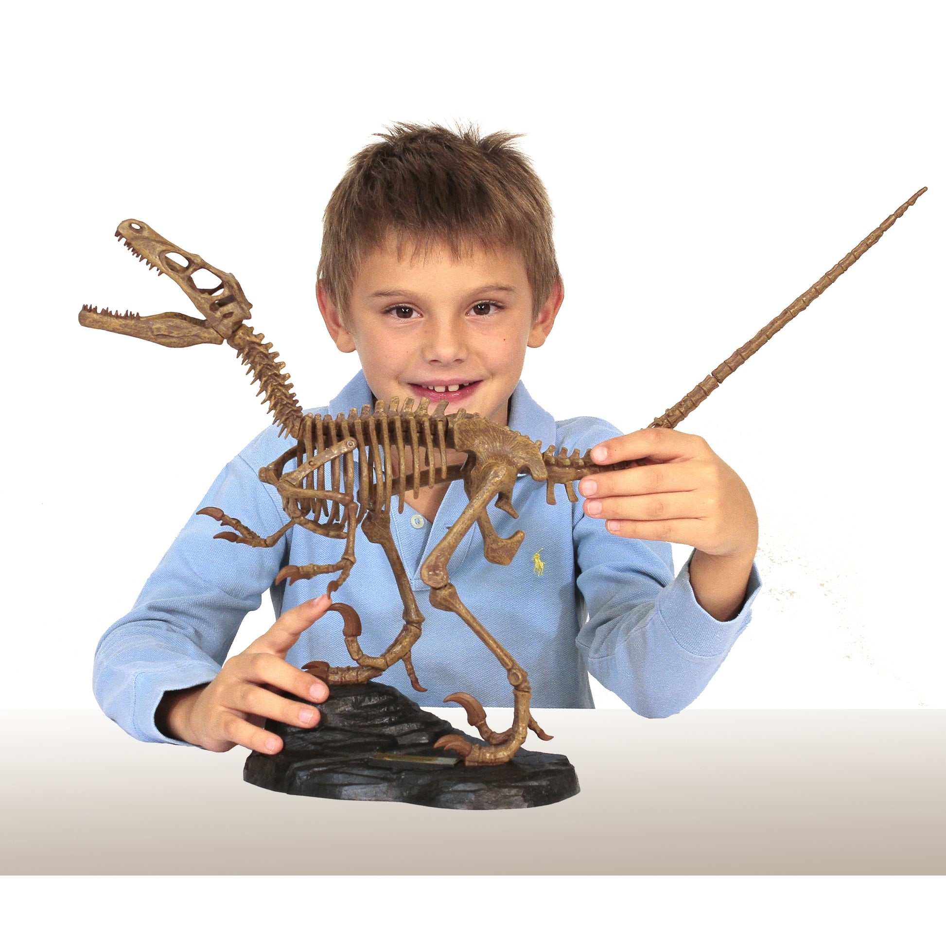 Dr. Steve Hunters GEOWorld Dino Dig Velociraptor Excavation Kit LuxuryLifeWay Online Store