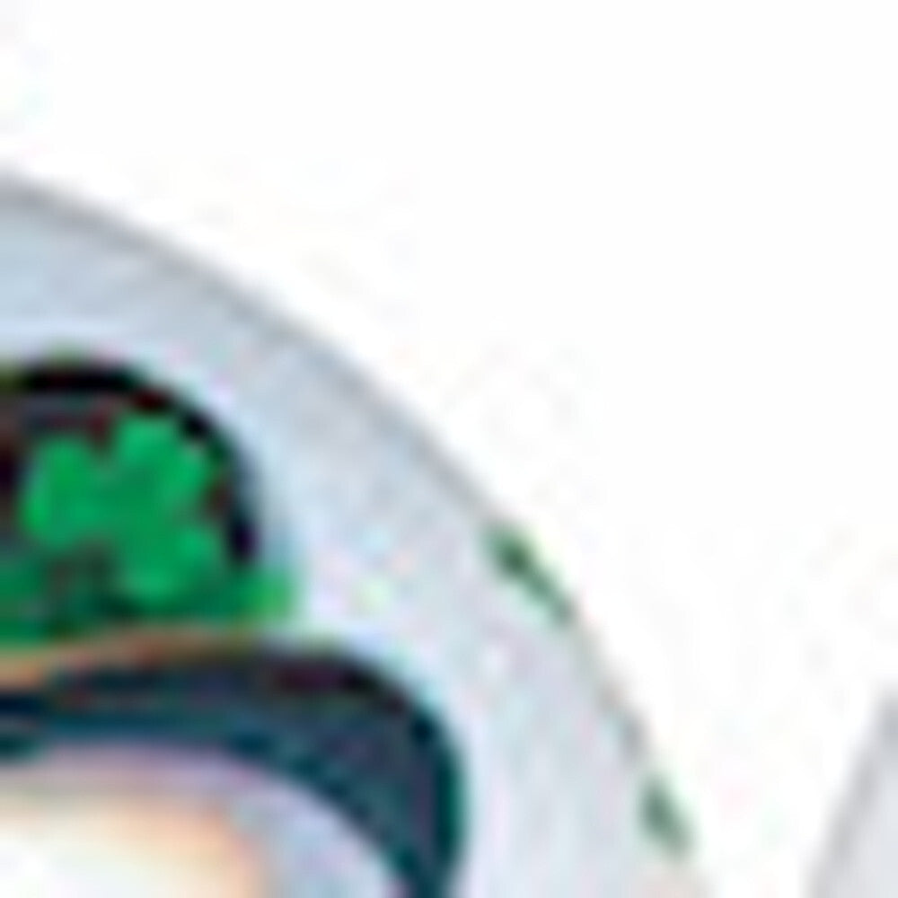 Green Irish Snowman Hand Painted Mouth Blown Glass Ornament LuxuryLifeWay Online Store