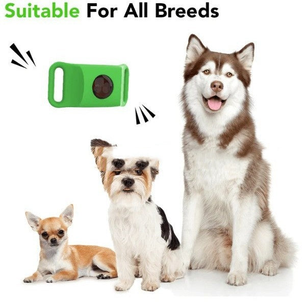 Flea Tick Tick Tick Collar Pets Fashion