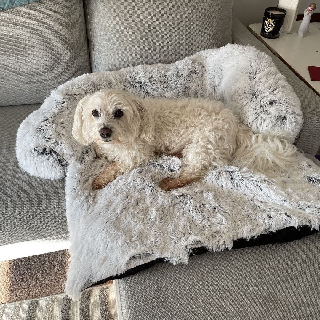 Dog Bed Pets Fashion