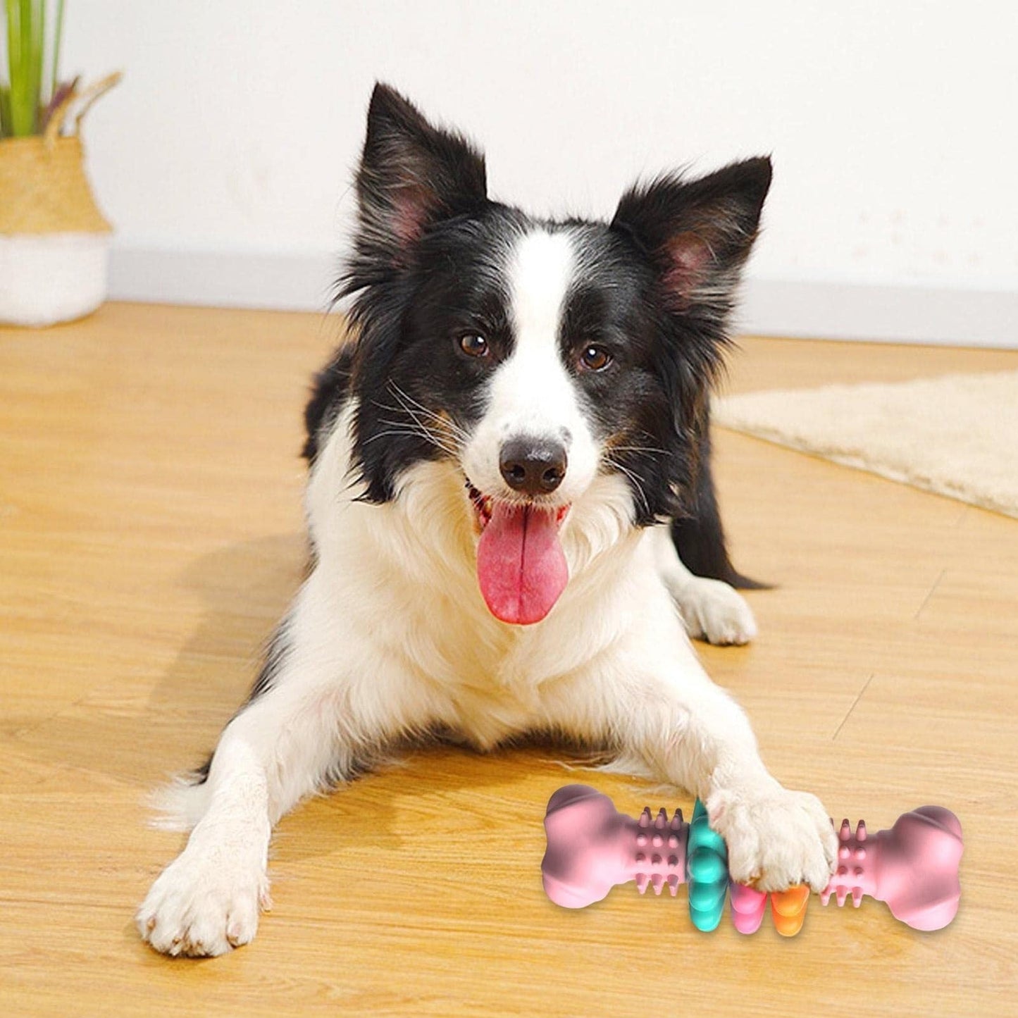 Dog Chew Bone Toy Pets Fashion