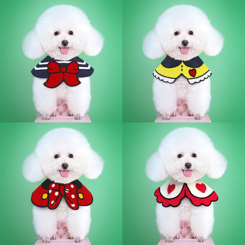 Pet collar Pets Fashion