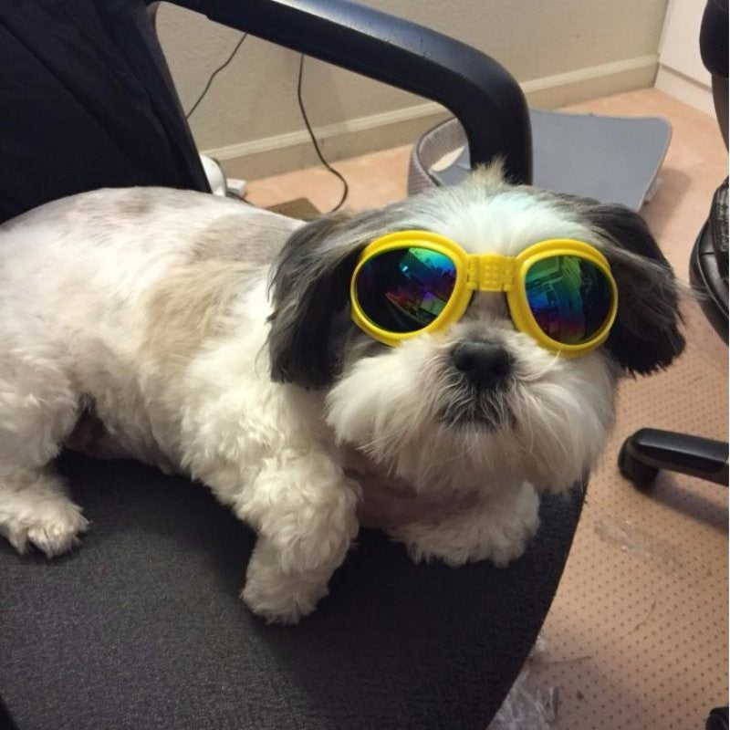 Dog Sunglasses Foldable Medium Size Waterproof Goggles UV Protection Glasses For Pets Pets Fashion
