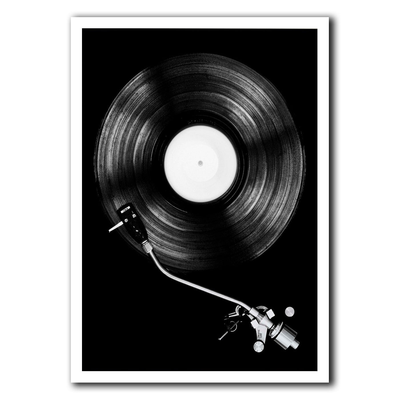 Vinyl Record Wall Art Room Decor Printing PearlNestDecor.com
