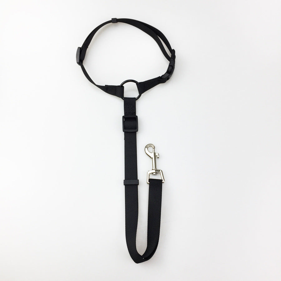 Pet safety leash Pets Fashion