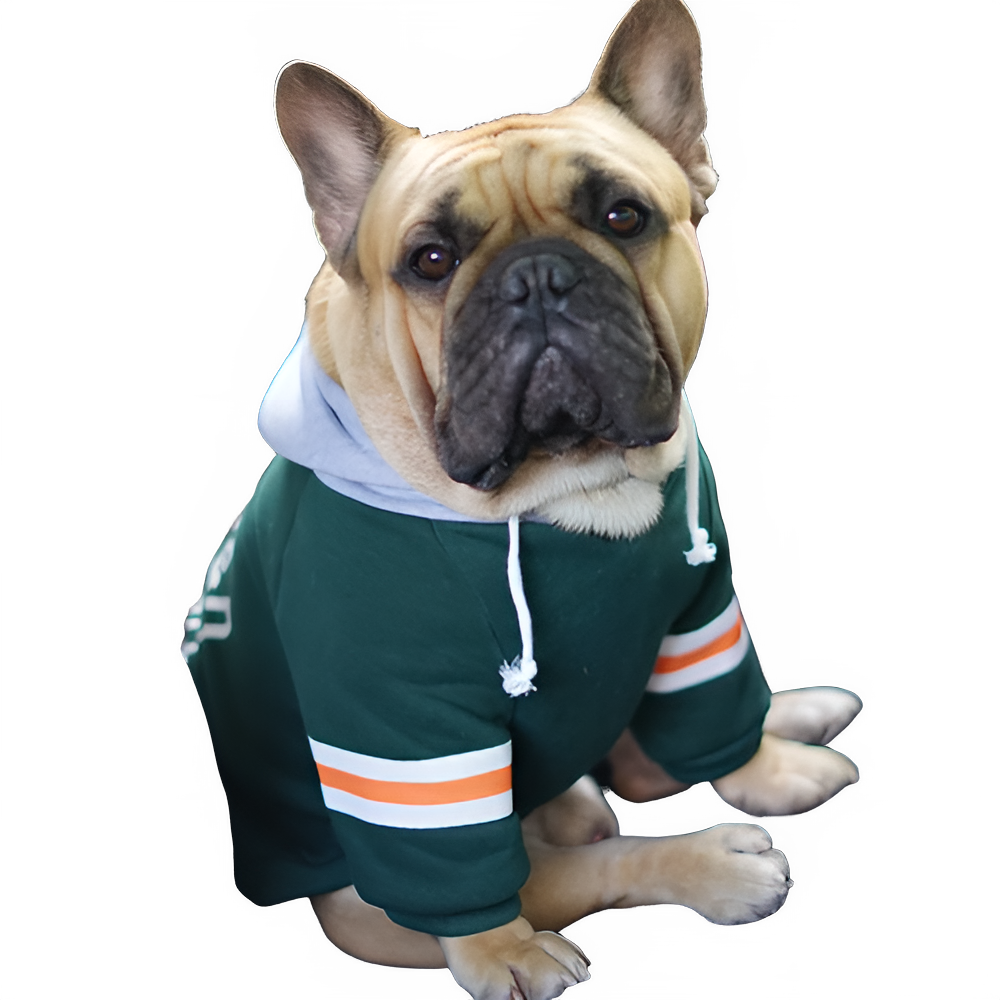 54b28aca-e575-46de-85af-452265ca381c