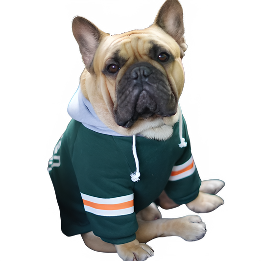 54b28aca-e575-46de-85af-452265ca381c