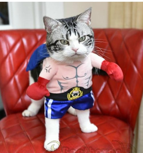 Boxer Cat Costume Pets Fashion
