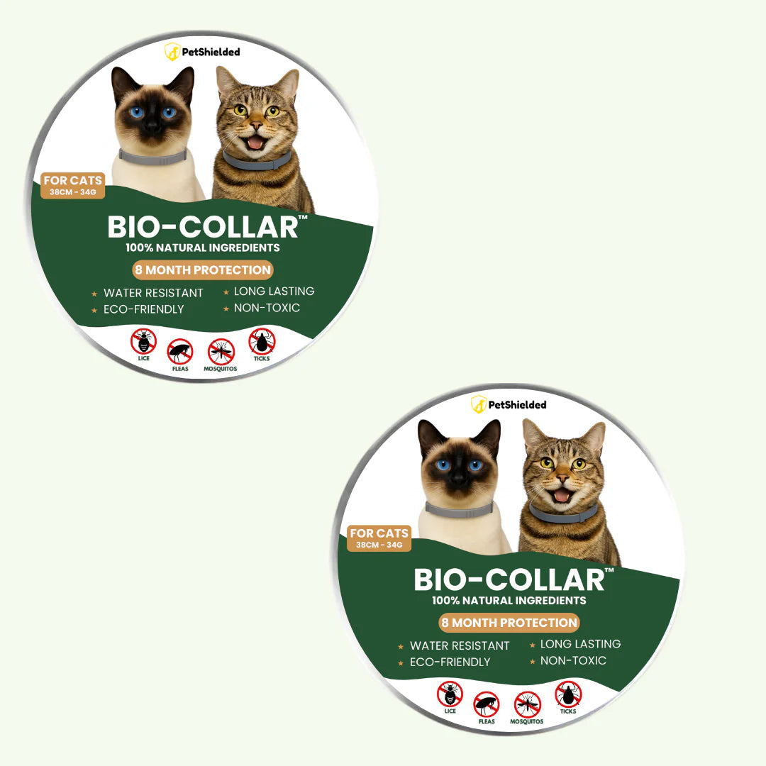 Pet Anti-mosquito Collar Cat Dog Adjustable Insect Repellent Collar Pet Supplies Pets Fashion