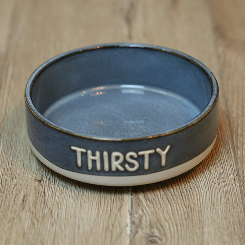 Making Old Pet Ceramic Bowls Pets Fashion