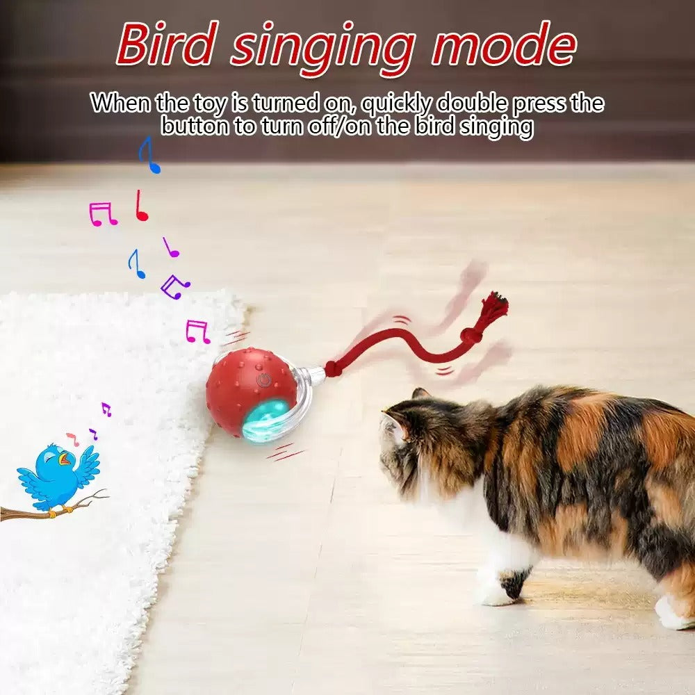 Interactive Cat Toy Ball Super Drive Cat Rolling Balls With Pets Fashion