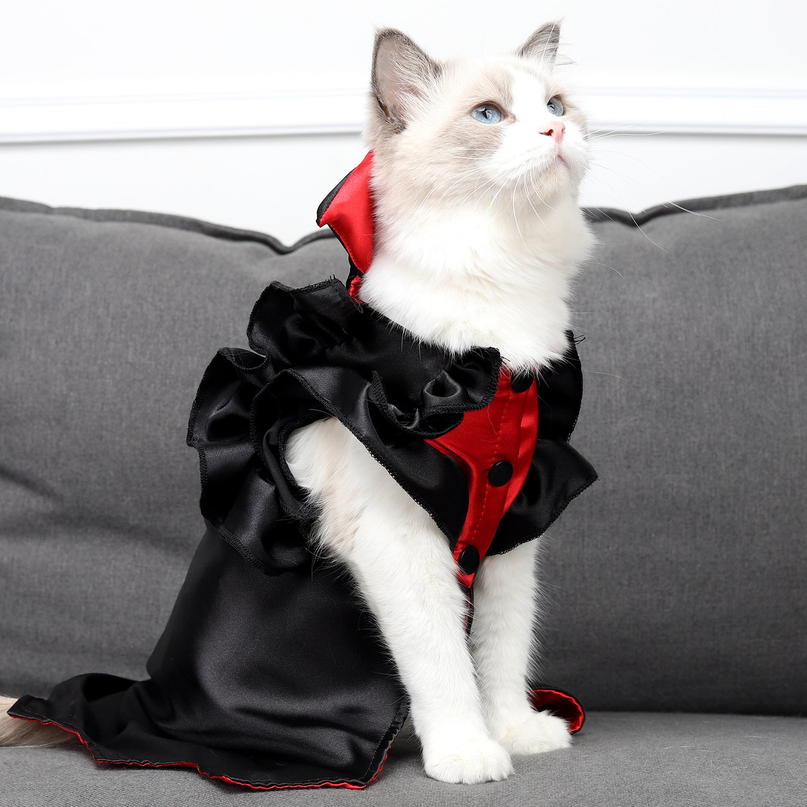 Cat Halloween Vampire Transformation Costume Pets Fashion