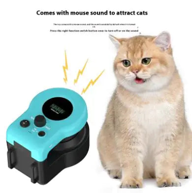 Active Cat Fun Toy