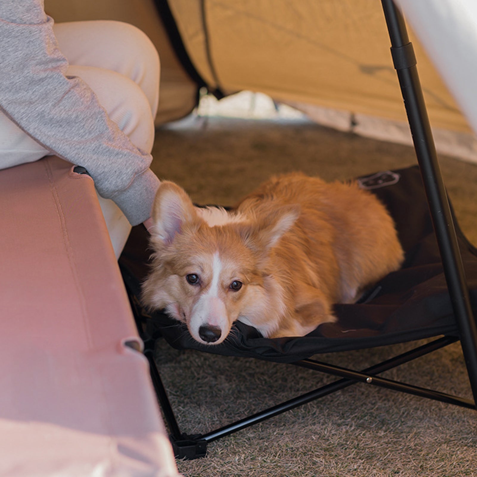 Outdoor detachable and washable pet folding bed Pets Fashion