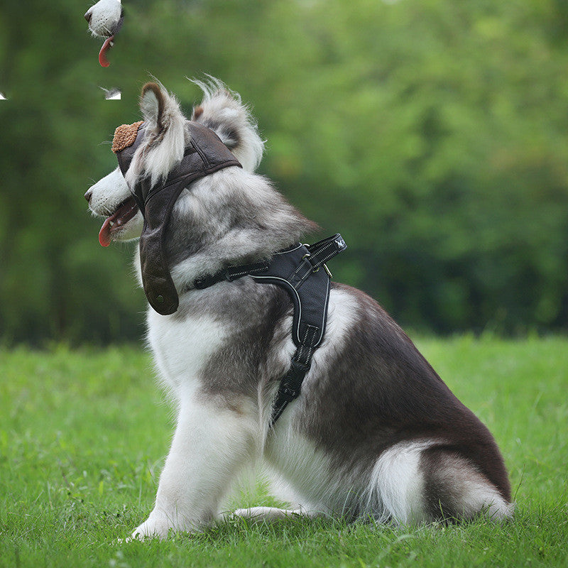 Pet Supplies Autumn Winter New Pet Dog Pets Fashion