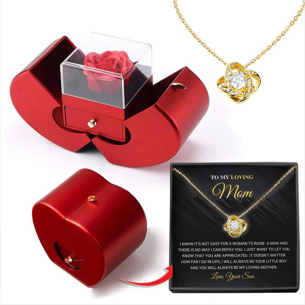 Niche Mother's Day Gift Clavicle Chain Apple Box Set LadyShow.Store