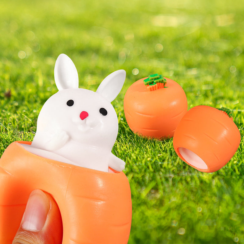Cute Carrot Rabbit Fidget Toy Pi-Mart