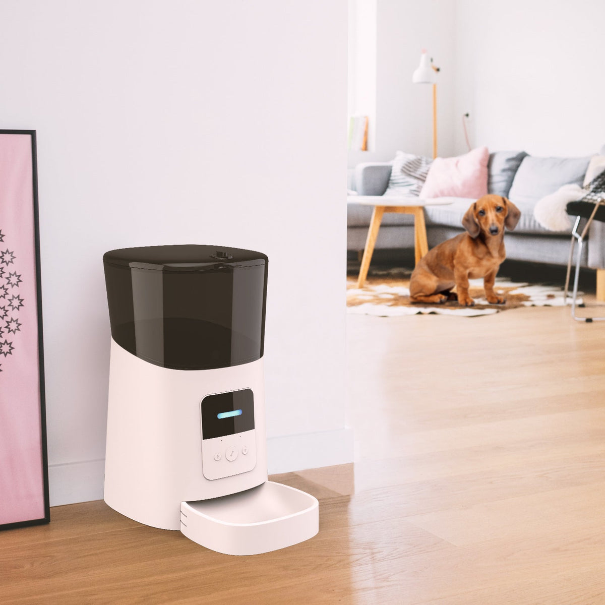 Pet feeder automatic Pets Fashion
