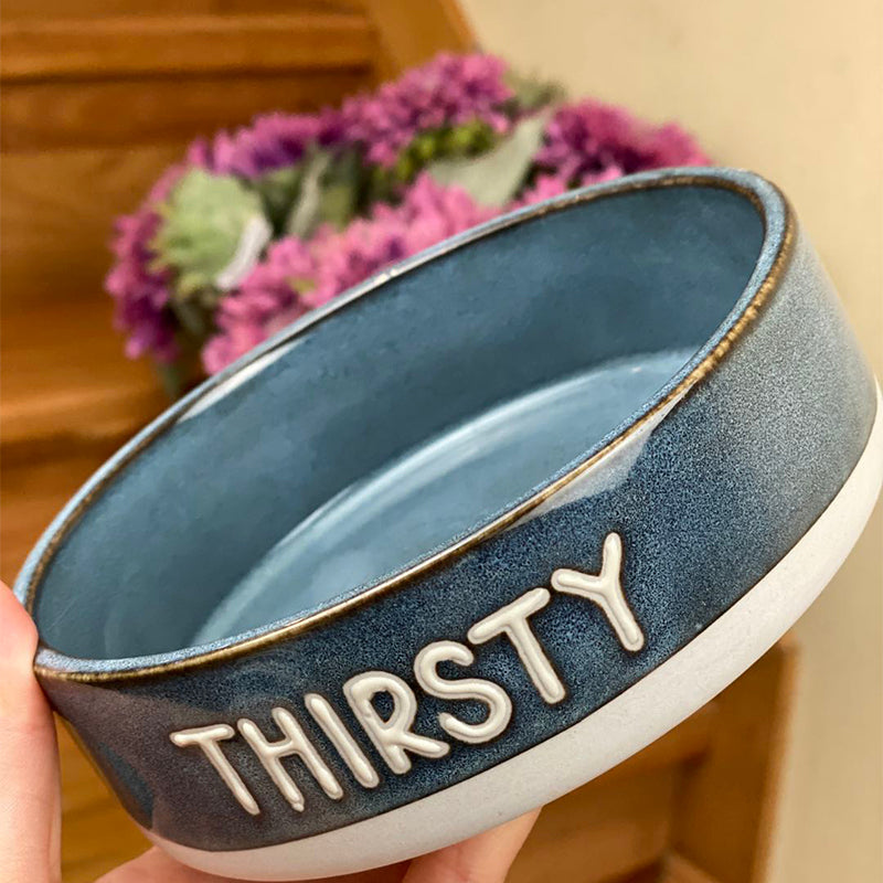 Making Old Pet Ceramic Bowls Pets Fashion
