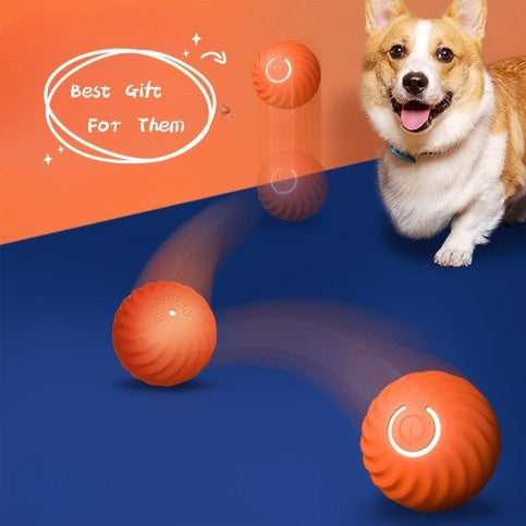 Durable Pet Rubber Chew Toy Pets Fashion
