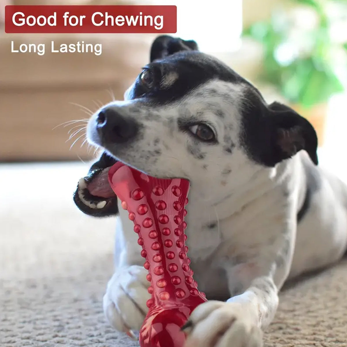 Natural Rubber Chew Toy Suitable For Aggressive Dogs - Durable And Long-Lasting Suitable For Dogs Chewing Heavy Objects Best YouTube Store