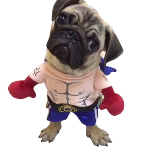 Boxer Cat Costume Pets Fashion