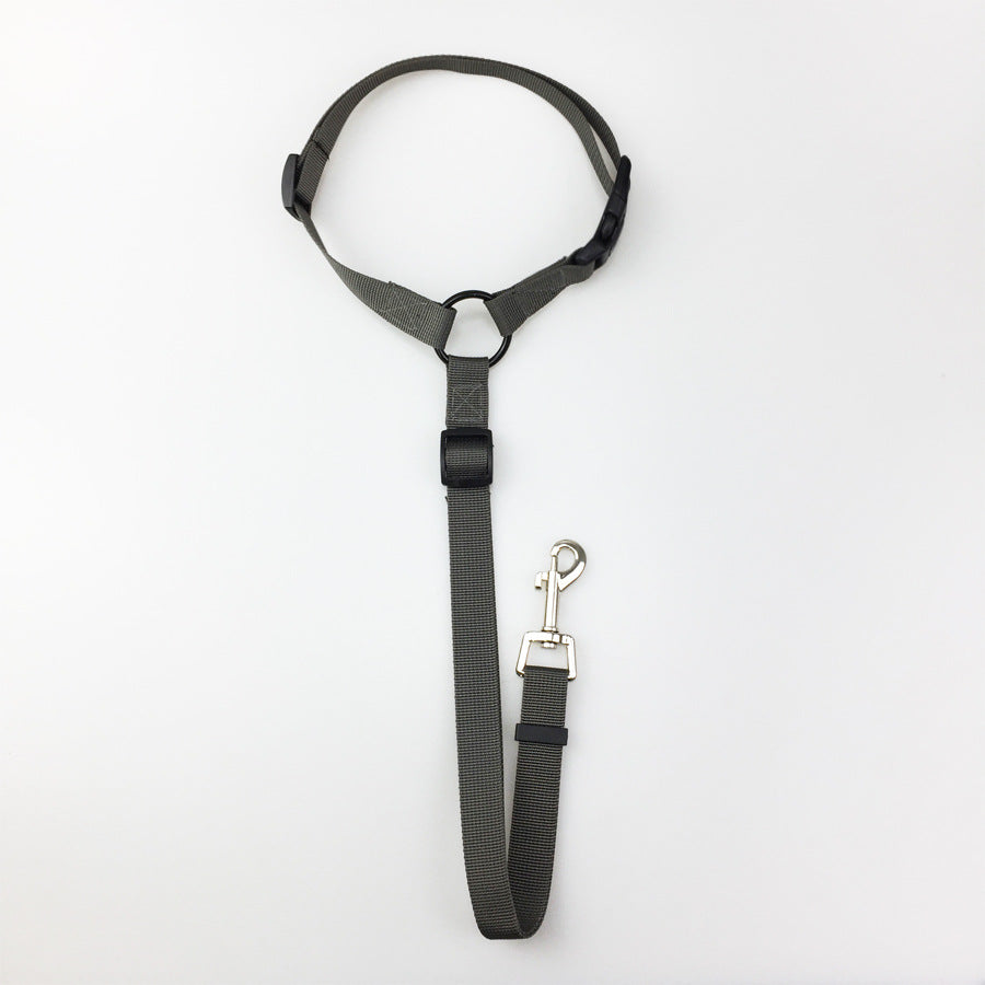 Pet safety leash Pets Fashion
