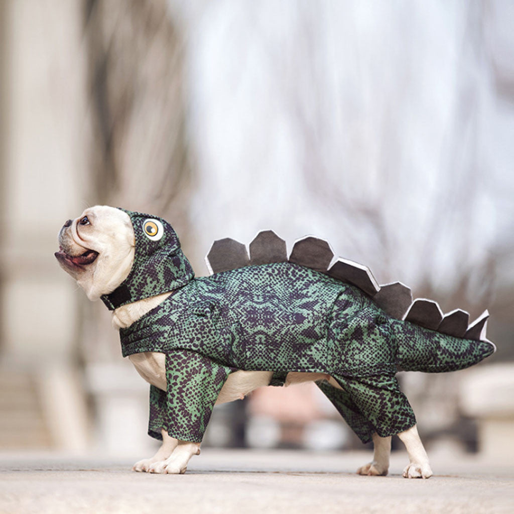Pet dinosaur clothes Pets Fashion