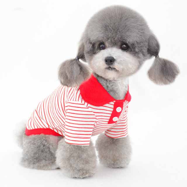 Clothes For Pets Pets Fashion
