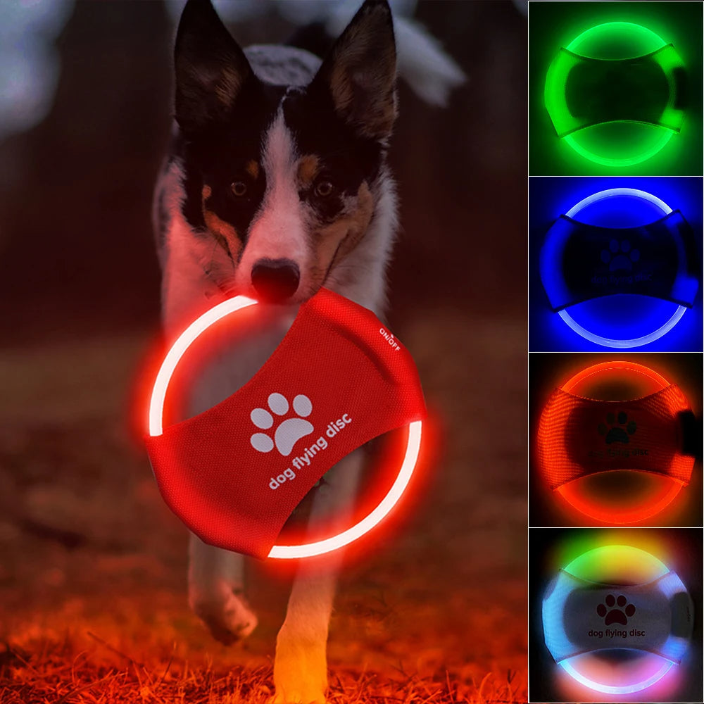 LED Dog Flying Disc Pets Fashion