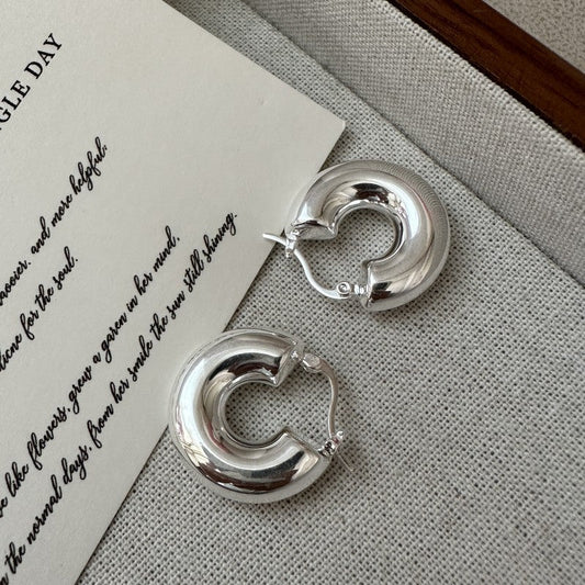 S925 Sterling Silver Design Earrings LadyShow.Store