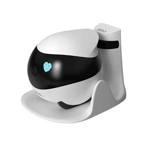 RoboView Mobile Security Cam Pi-Mart