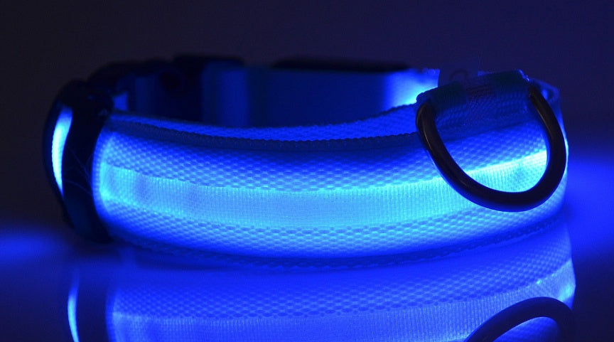 Dog Luminous Collar Pets Fashion