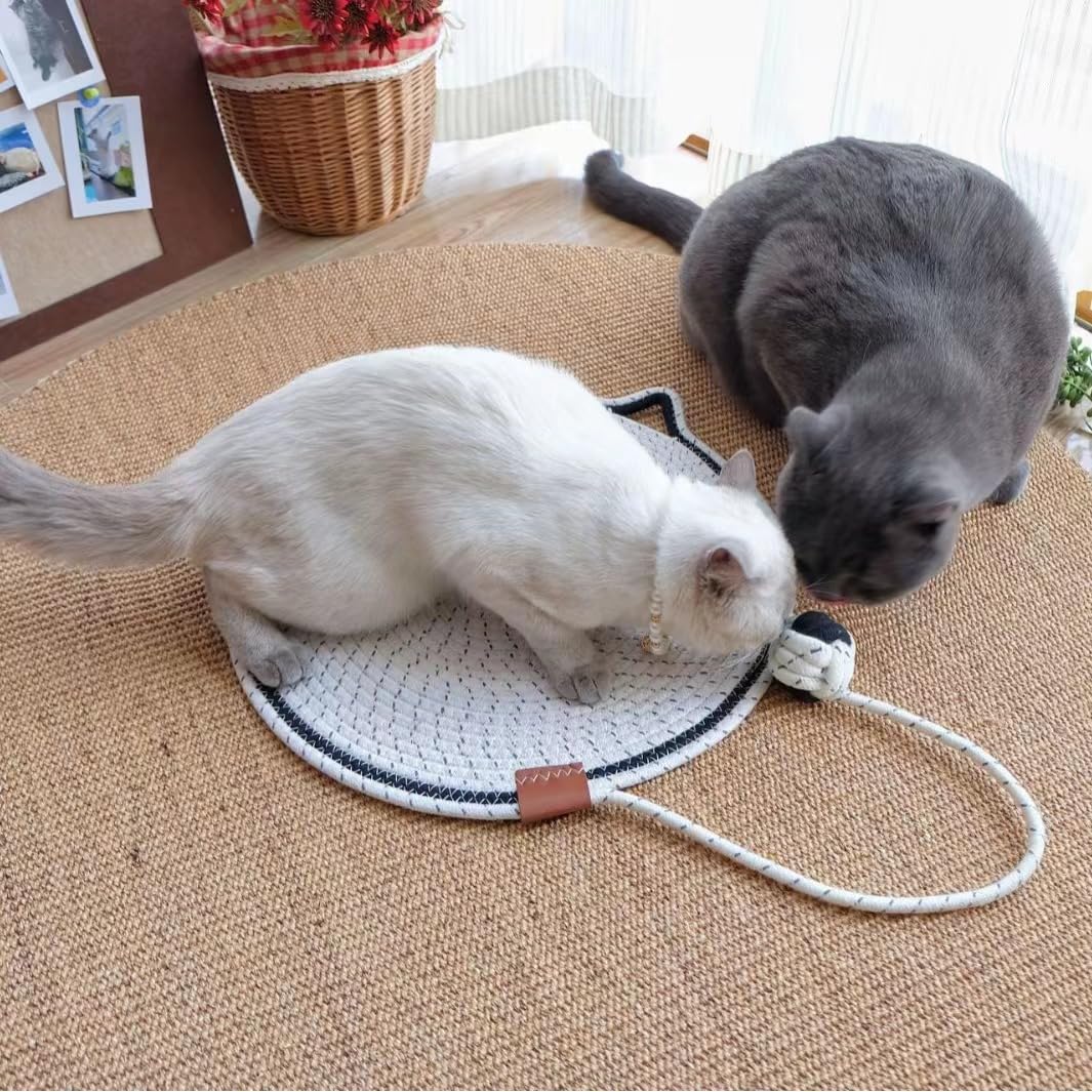 Braided Cotton Rope Cat Claw Mat Self Hi Ball One Piece Sleeping Mat Washable Anti Sticky Scratching Artifact Cat Scratching Mat Pet Products Pets Fashion