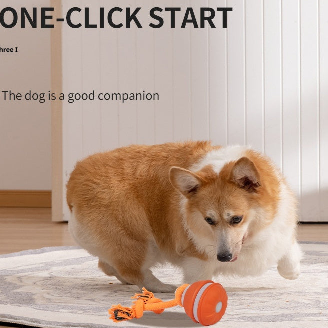Pet Ball For Dogs Interactive Toys Motion Activate Rolling Ball For Puppy Small Dogs Automatic Moving Toy USB Rechargeable Toy Pet Products Pets Fashion