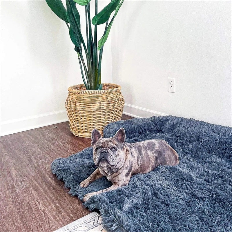 Dog Bed Pets Fashion