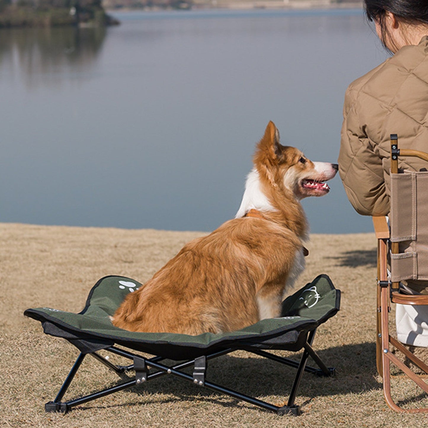 Outdoor detachable and washable pet folding bed Pets Fashion