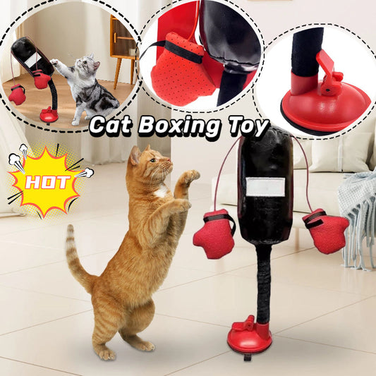 Portable Cat Punching Bag Toy Interactive Indoor Cats Kitten Toy With Gloves Cat Toy For Kitten Pet Cat Supplies Pets Products Pets Fashion