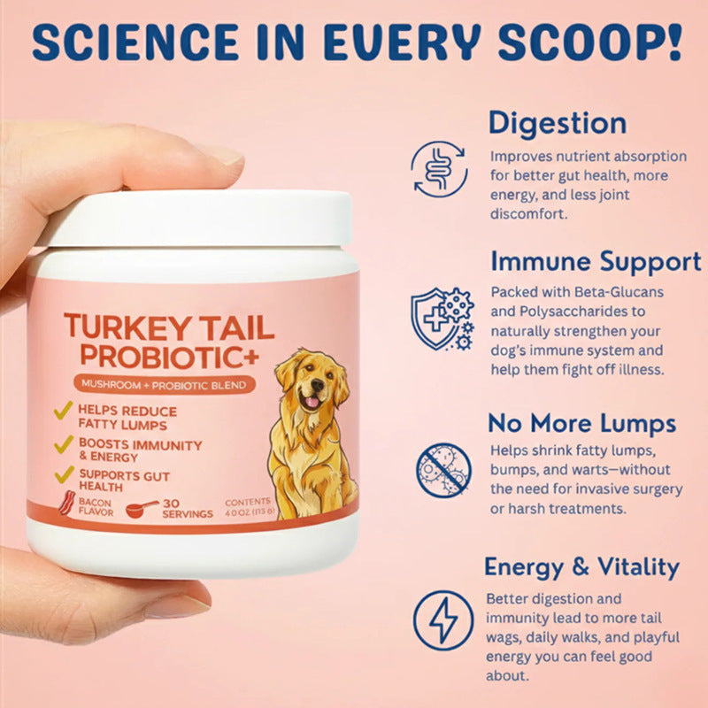 Pet Turkey Tail Mushroom Powder Pets Fashion