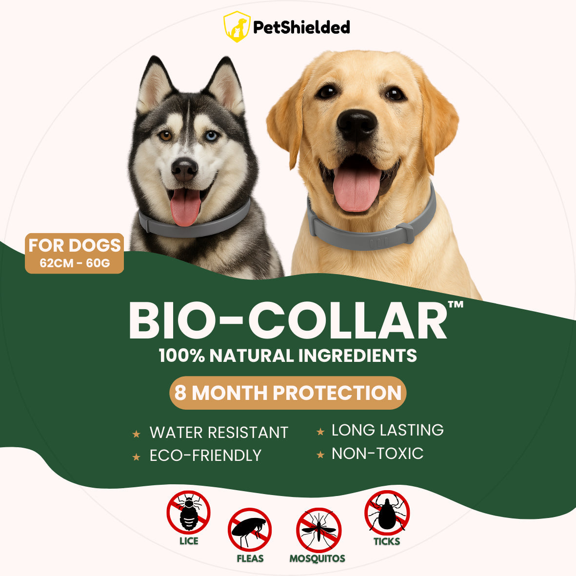 Pet Anti-mosquito Collar Cat Dog Adjustable Insect Repellent Collar Pet Supplies Pets Fashion