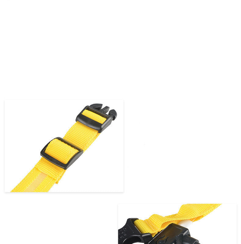 Dog Luminous Collar Pets Fashion