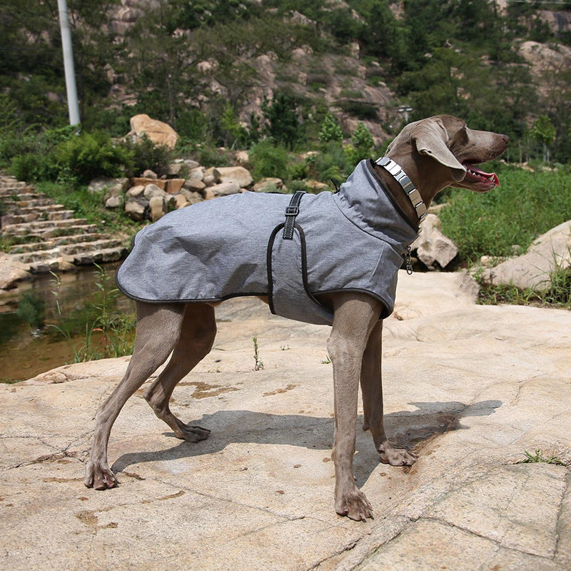 Pet Shell Jacket Dog Winter Outdoors Ski Suit Pets Fashion